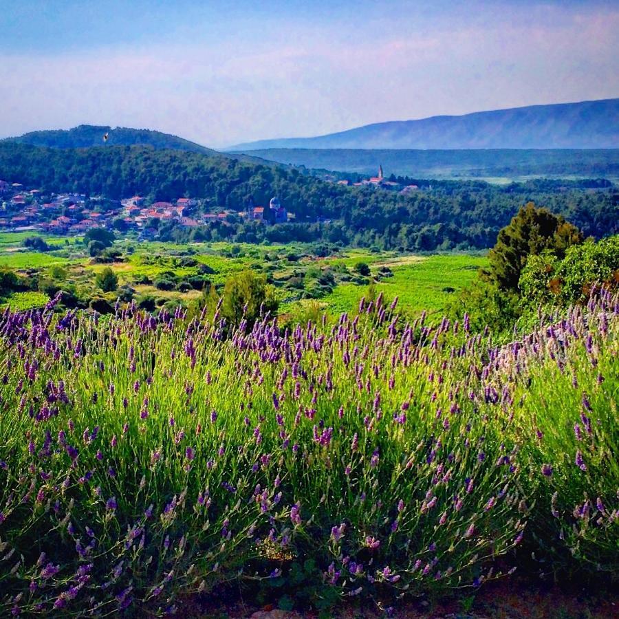 Villa Veli Nova Завала Екстер'єр фото